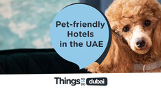 Pet-friendly hotels in the UAE