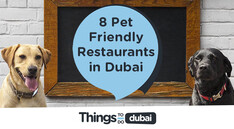9 Pet friendly restaurants in Dubai