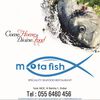 Restaurant Mota Fish Dubai Logo