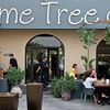 Restaurant The Lime Tree Cafe And Kitchen Dubai Picture