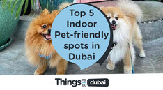 Top 5 Indoor Pet-friendly spots in Dubai